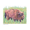 wisent01